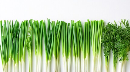Poster - Isolated on white background lemongrass stalks with pale green and white gradient cut cleanly and arranged parallel with side empty space for text Stockphoto style