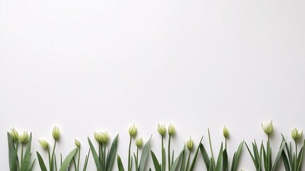 Aufkleber - Isolated on white background bunch of chives with clean-cut ends arranged in parallel lines for a modern herb look and side empty space for text Stockphoto style