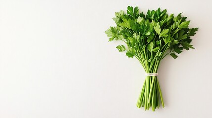 Poster - Isolated on white background flat-leaf parsley with stems radiating from a single point in a natural fan-like spread and side empty space for text Stockphoto style