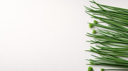 Aufkleber - Isolated on white background chives laid out in parallel on a white cutting board for a clean culinary aesthetic and side empty space for text Stockphoto style