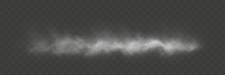 Poster -  A thin layer of gray smoke with scattered glowing particles on a transparent background, creating a misty or atmospheric haze effect.