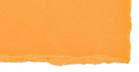Poster - Isolated cut out torn piece of blank orange paper note cardboard with texture and copy space for text, transparent png background design element