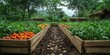 © kucret - Lush green vegetable garden with ripe tomatoes in wooden raised beds.