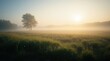 Serene sunrise over a misty meadow