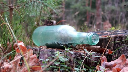 Wall Mural - Close-up of an old glass bottle and trash on forest ground symbolizing pollution and litter