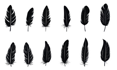 Poster - Minimalist Black Feather Icon Set - Flat Silhouette Vector Illustrations