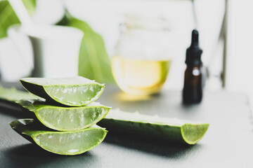 Wall Mural - leaves of aloe vera plant, organic plant