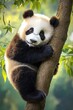© YONG - A cute panda hanging from a tree