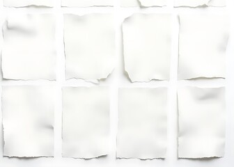 Poster - A realistic set of white torn and ripped paper scraps with shredded notebook page remnants and a few sticky notes included.