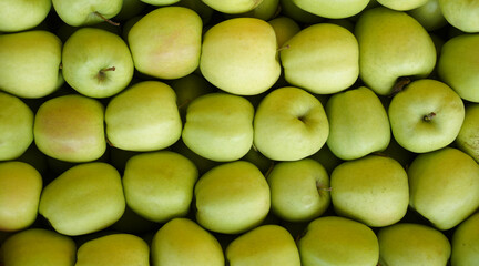 Wall Mural - apples close-up background. harvest green apple in box. top view. 