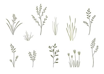 Poster - Natural landscape elements including grass lines, silhouettes, bushes, shrubs, herbs, with a simple white background illustration style.