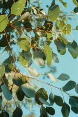 Aufkleber - A close-up view of a tree branch with intricate details and textures