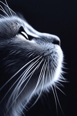Poster - A close-up photo of a cat in black and white tones
