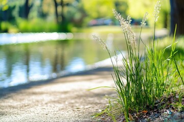 Poster - A small piece of greenery at the water's edge, perfect for use in nature-inspired designs