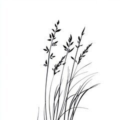 Poster - Elegant black silhouette of grass stems against a white background, conveying simplicity and natural beauty.