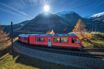 Wall Mural - red electric passenger train is moving on railway in swiss alps on sunny autumn day with back light 