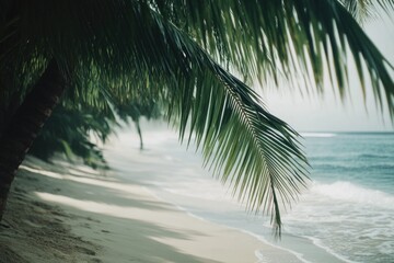 Poster - A calm beach with a single palm tree in the foreground, suitable for use as a background or property image