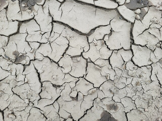 In drought, cracked gray soil.