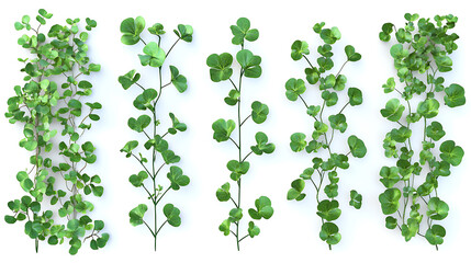 Poster - Set of cutout dichondra creeper plants and vines isolated on white realistic 3d rendering of lush green foliage natural design elements