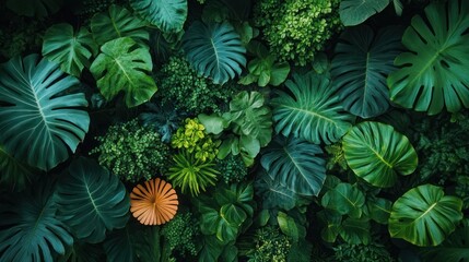 A vibrant green wall of tropical leaves with a single orange leaf in the center.