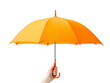 © zphoto83 - A hand holds a bright orange umbrella against a transparent white background on a sunny day