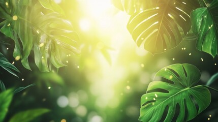 Sticker - Sunlight streaming through lush green foliage, creating a warm and inviting natural backdrop.