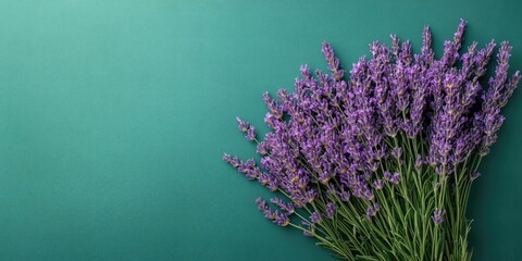 Poster - Bouquet of lavender flowers on a green background. Copy space, top view. Summer background.