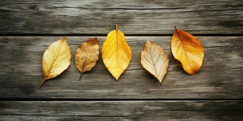 Sticker - Autumn theme featuring golden leaves on a rustic wooden surface.