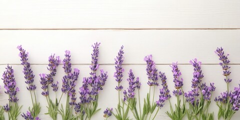 Poster - lavender flowers on a white wooden table background, top view