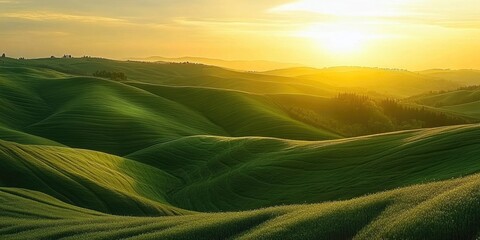 Poster - Rolling green hills and a sunset