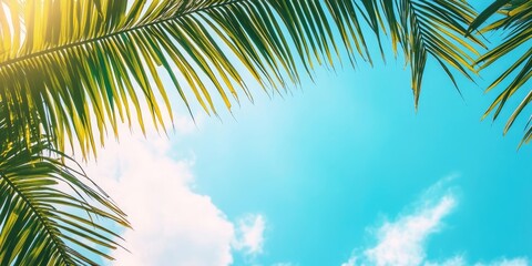 Poster - Coconut leaf and blue sky on a sunny day. A beautiful background suitable for travel, vacation, or any of your content. Copy Space