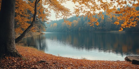 Poster - Autumn scenery featuring a reservoir amidst golden foliage. Natural backdrop with copyspace for text or lettering.