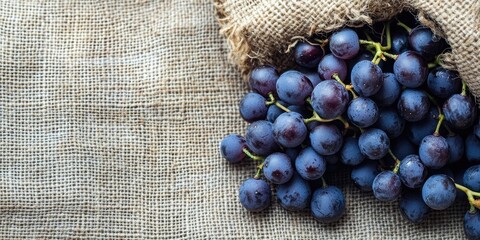 Poster - Cluster of grapes on a jute sack