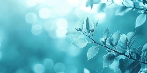 Aufkleber - Abstract view of nature featuring leaves against a blurred blue-toned background with copy space, suitable for a natural green plants landscape, ecology, and fresh wallpaper concept.