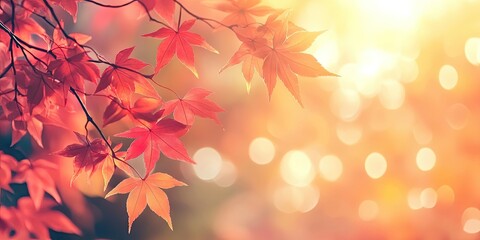 Poster - Background of vibrant autumn foliage