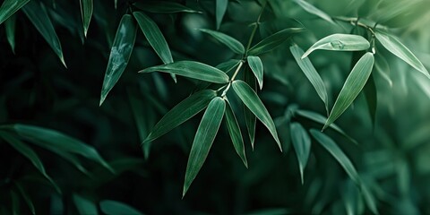 Aufkleber - bamboo foliage