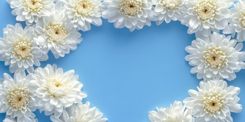 Aufkleber - White chrysanthemum flowers are bordered on a blue background.