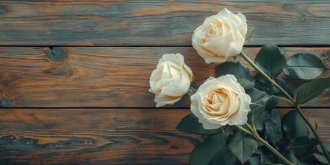 Leinwandbilder - White roses on a wooden surface. Selective focus, copy space.