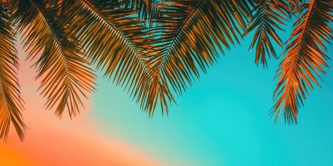 Poster - Orange and blue sunset sky. Tropical green palm tree branches. Vacation vibe. Beautiful landscape and backdrop. Copy space, banner.
