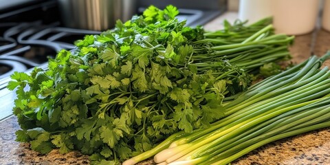 Poster - Freshly cleaned cilantro and chives in the kitchen