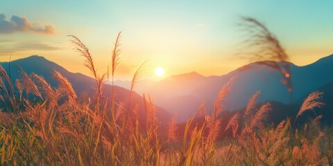 Poster - Panoramic view of a sunset behind mountains on a tropical grassland. Artistic transparent wild grass in full bloom. Abstract design with shadows and sun rays, featuring lens flare.
