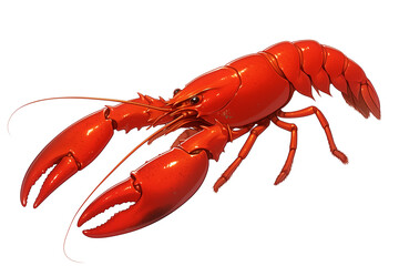 Poster - vibrant red crawfish with detailed claws and antennae is isolated on white background, showcasing its intricate features