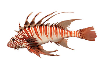 Poster - Lionfish isolated on white background, showcasing its vibrant stripes and spiky fins. fish unique appearance is highlighted, emphasizing its exotic and striking features
