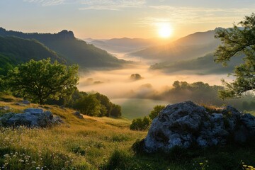 Poster - A beautiful sunrise casts golden light over a misty valley, highlighting lush greenery and gentle hills in the tranquil morning. Generative AI