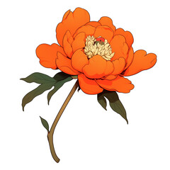 Aufkleber - Orange peony with lush petals and green leaves isolated on white background, showcasing vibrant colors and intricate details. Perfect for floral design and botanical studies