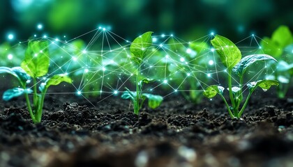 Aufkleber - Wide view of a field with green plants connected by digital AI data lines, highlighting the synergy of artificial intelligence and precision agriculture for sustainable farming