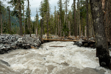 Wall Mural - Carbon River Rushes Under Newly Installed Log Bridge In Summer