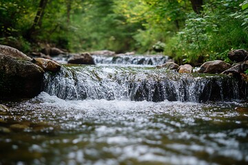Aufkleber - Peaceful Brook in the Forest with Flowing Water Over Rocks in a Green Natural Setting : Generative AI