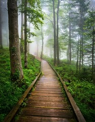 Wall Mural - Misty forest path. Wooden boardwalk winds through lush green trees, creating a serene, magical atmosphere.