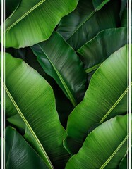 Canvas Print - Lush green tropical leaves create a vibrant, textured background.